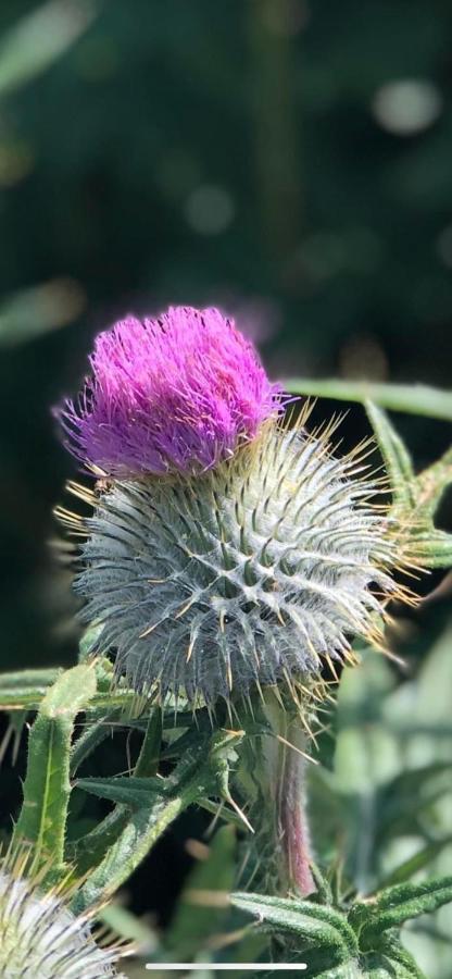 Number Twenty Six - 2 Miles From Elie Beach - 15Mins To St Andrews Colinsburgh 외부 사진